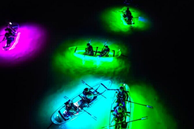 Inclusive Glass Boat Rental Peanut Island Snorkel Gear & Snacks - What the Tour Includes and What to Keep in Mind