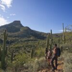 Incredible Hidden Valley Guided Hike in Phoenix, Arizona - Exploring the Sonoran Desert: A Detailed Look at the Hidden Valley Hike