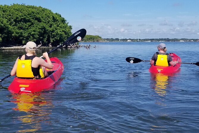 Indian River Clear Bottom Kayak or Paddleboarding Manatee and Dolphin Tour - Who Should Book This Tour?