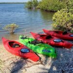 Indian River Lagoon Preserve Kayak Tour - Why This Tour Offers Great Value