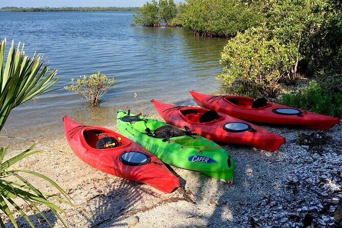 Indian River Lagoon Preserve Kayak Tour - Why This Tour Offers Great Value
