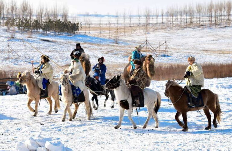 Inner Mongolia: 5-Day Private Tour with Desert Adventure - The Value of the Tour: What’s in It for You?