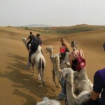 Inner Mongolia Hohhot 1Day Kubuqi Desert (Whistling Dune Bay)Tour - What’s Included and What to Consider