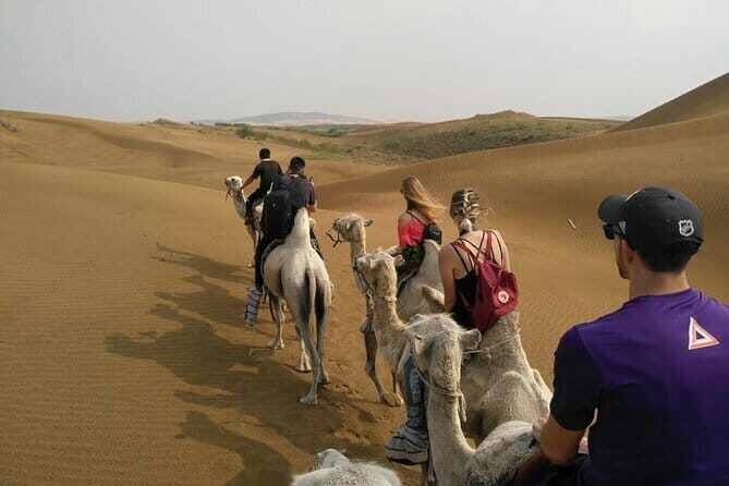 Inner Mongolia Hohhot 1Day Kubuqi Desert (Whistling Dune Bay)Tour - What’s Included and What to Consider