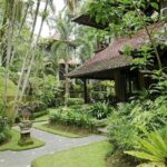 Instagram in north Bali : The Most Beautiful Spot for Photo - What Travelers Say