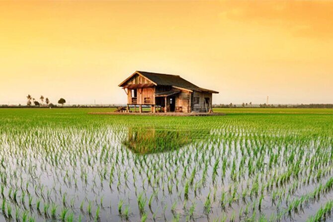 Instagrammable Kuala Selangor Sky Mirror Tour with Transfer - Final Thoughts: Is This Tour Worth Your Time?