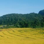 Inthanon Day Trip from Chiang Mai with Lunch - Group or Private - FAQ