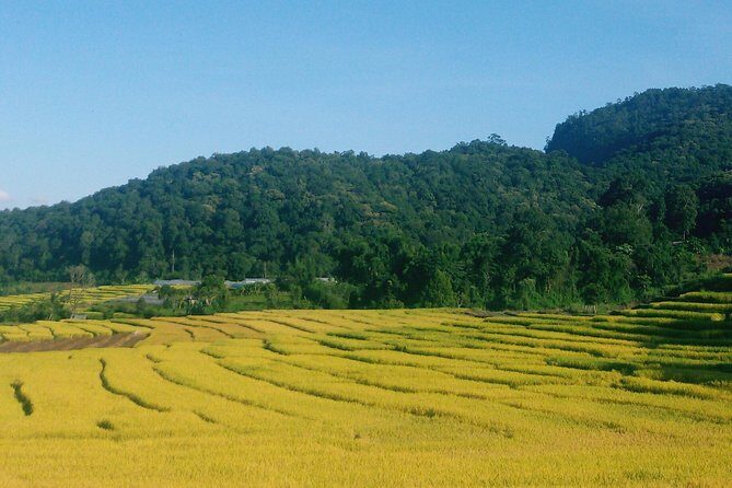 Inthanon Day Trip from Chiang Mai with Lunch - Group or Private - FAQ