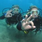 Intro/Refresher Dive Swim Ability Required - Who Will Love This Tour?