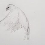 Introduction to Drawing - The Itinerary: What to Expect