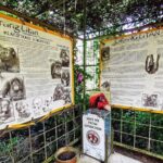 Ipoh & Orang Utan Island Day Tour from Kuala Lumpur - Who Is This Tour Best For?