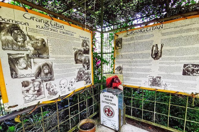 Ipoh & Orang Utan Island Day Tour from Kuala Lumpur - Who Is This Tour Best For?