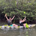 Iriomote island: Mangrove River SUP or Canoe Cruising Tour - Detailed Review of the Iriomote Mangrove River Tour
