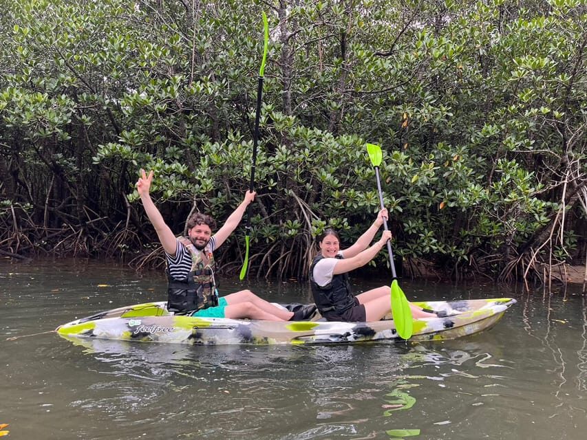 Iriomote island: Mangrove River SUP or Canoe Cruising Tour - Detailed Review of the Iriomote Mangrove River Tour