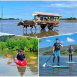 Iriomote: Mangrove SUP or Canoe and Yubujima sightseeing - Practical Details and Logistics
