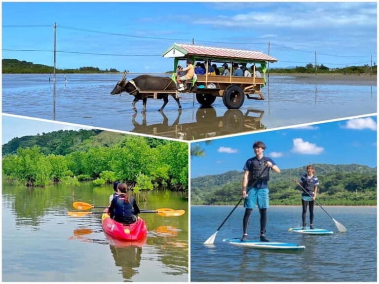 Iriomote: Mangrove SUP or Canoe and Yubujima sightseeing - Practical Details and Logistics