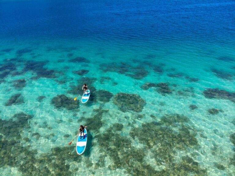 Ishigaki Island: SUP or Kayaking experience at Kabira Bay - Who Should Consider This Tour?