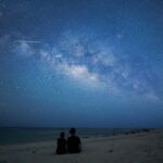 Ishigaki: Jungle Walk and Stargazing Night Tour - A Deep Dive into the Night Tour Experience