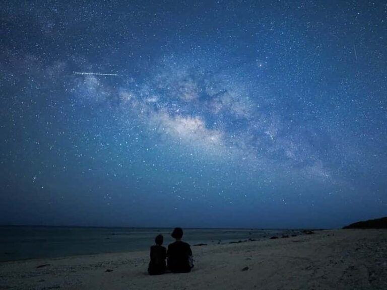 Ishigaki: Jungle Walk and Stargazing Night Tour - A Deep Dive into the Night Tour Experience