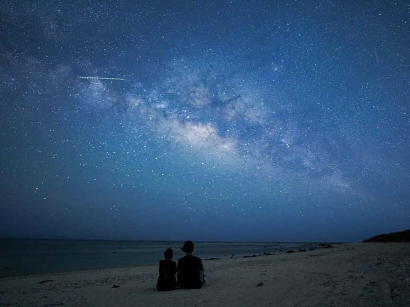 Ishigaki: Jungle Walk and Stargazing Night Tour - A Deep Dive into the Night Tour Experience