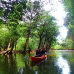 Ishigaki: Mangrove SUP or Canoe & Phantom Island Snorkeling - A Deep Dive into the Ishigaki Mangrove & Phantom Island Tour