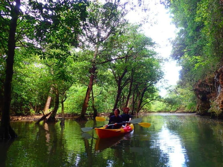 Ishigaki: Mangrove SUP or Canoe & Phantom Island Snorkeling - A Deep Dive into the Ishigaki Mangrove & Phantom Island Tour