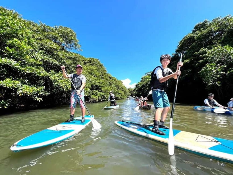 Ishigaki: Mangrove SUP or Canoe Tour  Taketomi Sightseeing - Practical Details and Considerations