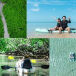 Ishigaki:Mangrove&Sea SUP/Kayak Tour with SLR&Drone footage - The Experience in Detail