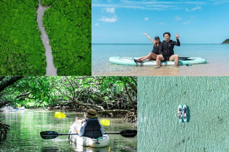 Ishigaki:Mangrove&Sea SUP/Kayak Tour with SLR&Drone footage - The Experience in Detail