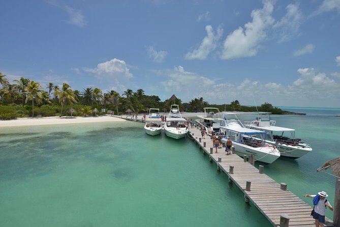 Isla Contoy & Isla Mujeres (from Playa del Carmen) - An Honest Look at the Tour Experience