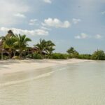 Isla Contoy Private Day Tour, from Cancun - Transportation and Comfort