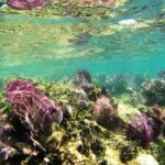 Isla Mujeres Private Dream Getaway - The Itinerary: What to Expect