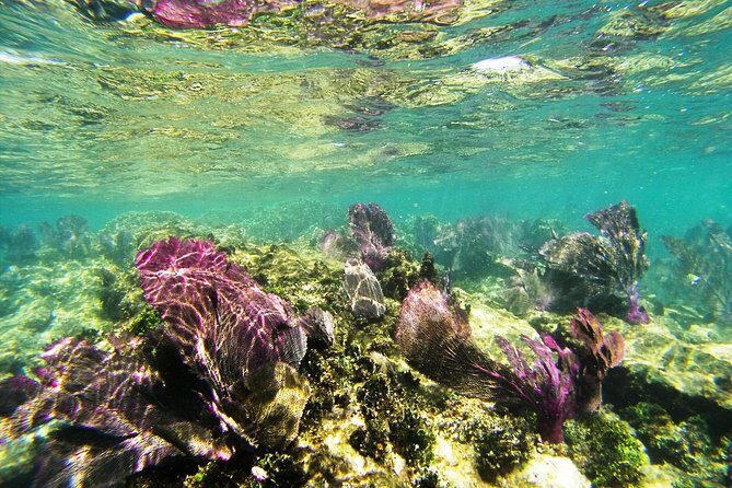 Isla Mujeres Private Dream Getaway - The Itinerary: What to Expect