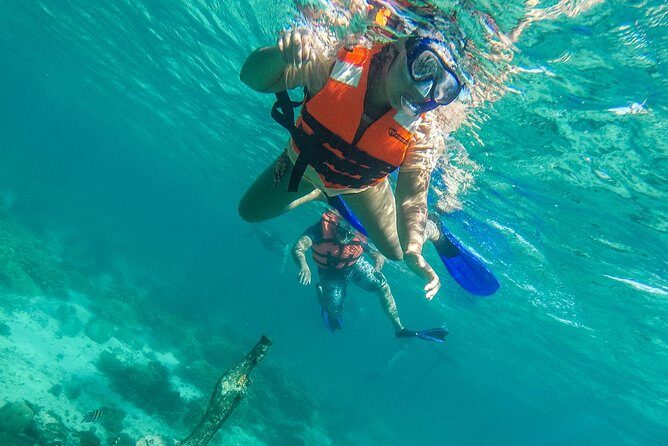 Isla Mujeres Snorkeling Tour Adventure - Who Will Love This Tour?