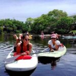 Island City ECO Paddle and Lesson to 9.3 Acre Nature Preserve - Who Should Consider This Tour?