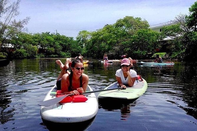 Island City ECO Paddle and Lesson to 9.3 Acre Nature Preserve - Who Should Consider This Tour?