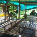 Island Community Life in Phnom Penh - Why Choose This Tour?