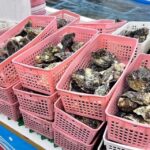 Itoshima Nature Tour with Oyster - What the Tour Covers: A Breakdown of the Itinerary