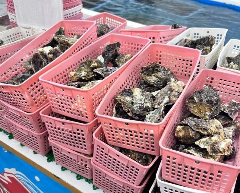 Itoshima Nature Tour with Oyster - What the Tour Covers: A Breakdown of the Itinerary