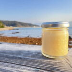 Itoshima Scenic TourTotoro Forest, Falls & Ocean View Spots - Why This Tour Offers Great Value