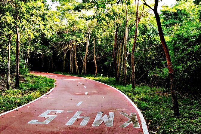 Ixtapa bike tour - Who Will Love This Tour?