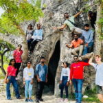 Jaffna: Delft and Nainativu Island Tour with Local Guide - Who Is This Tour Best For?