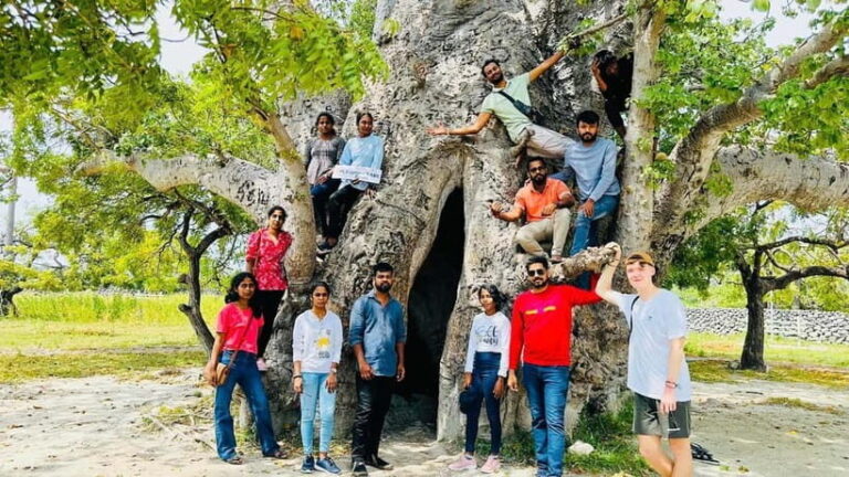 Jaffna: Delft and Nainativu Island Tour with Local Guide - Who Is This Tour Best For?