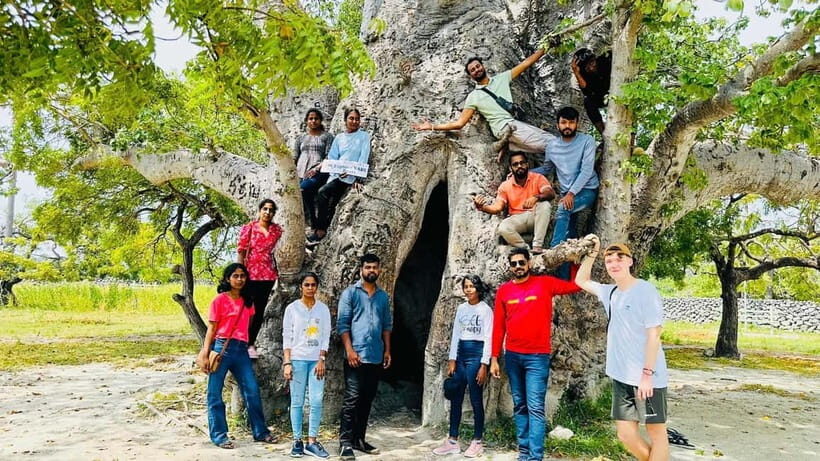 Jaffna: Delft and Nainativu Island Tour with Local Guide - Who Is This Tour Best For?