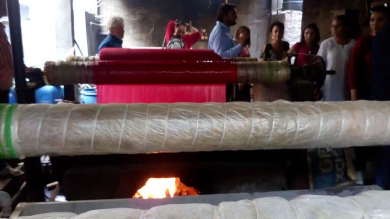 Jaipur: Bagru Block Printing Workshop with Local Artisans - Key Points