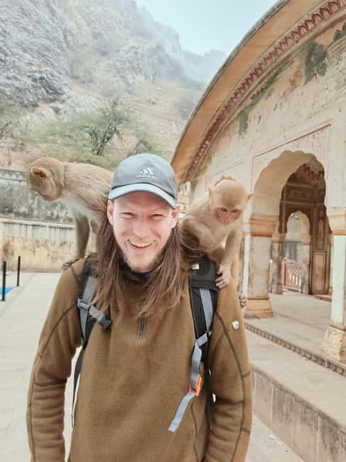 Jaipur Full-Day City Tour with Monkey Temple By AC Car - Who Should Consider This Tour?