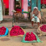 Jaipur: Half-Day Guided Sightseeing Tour with Flower Market - Transportation and Logistics