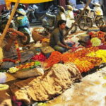 Jaipur Half-Day Tour with Flower Market by Tuk-Tuk or Car - What’s Included and What’s Not