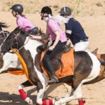 Jaipur Horse Riding Adventure - Authenticity and Safety