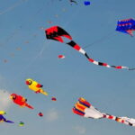 Jaipur: Makar Sankranti Kite Festival with Local Family - The Practical Details
